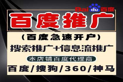 sem托管服务案例：如何实现广告投放精准化